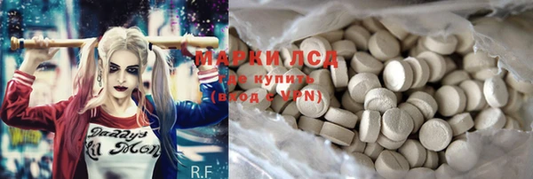 прущие грибы Арсеньев
