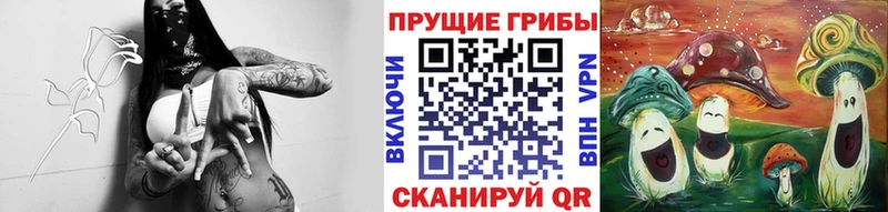 Псилоцибиновые грибы мицелий Полесск